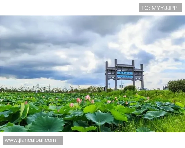 芜湖名称的由来与历史渊源探析以及现代发展中的独特意义 芜湖名称的由来与历史渊源探析以及现代发展中的独特意义