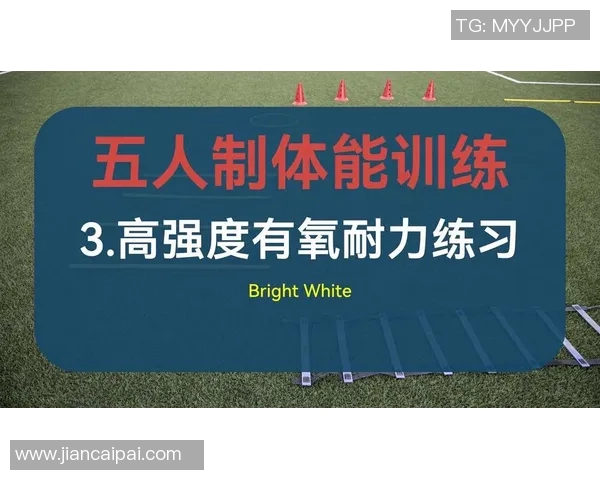 高强度有氧与力量训练结合提升体型与耐力的有效方法解析