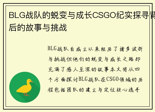 BLG战队的蜕变与成长CSGO纪实探寻背后的故事与挑战